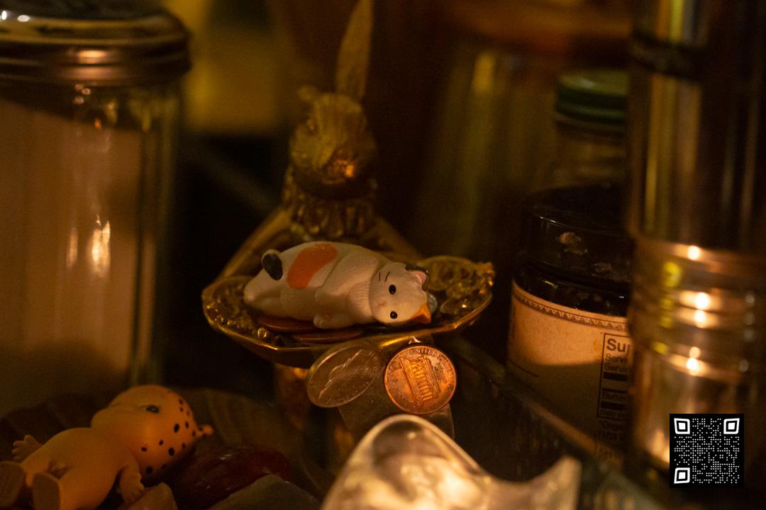 Brooklyn 2025 Flower Cat Cafe, Gypsy Jazz Evening