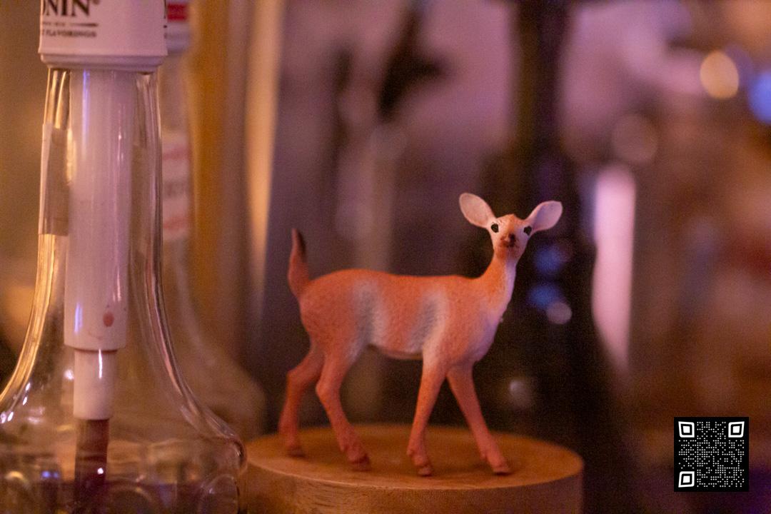 Brooklyn 2025 Flower Cat Cafe, Gypsy Jazz Evening